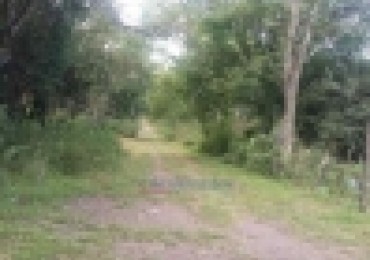 LOTE Salsipuedes Bo PLASMAN Seccion A - Unico 