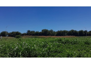 AIRES DEL NORDESTE - UNQUILLO - OPORTUNIDAD !! 